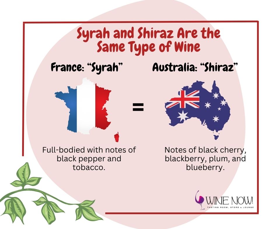 Graphic titled "Syrah and Siraz Are the Same Type of Wine"